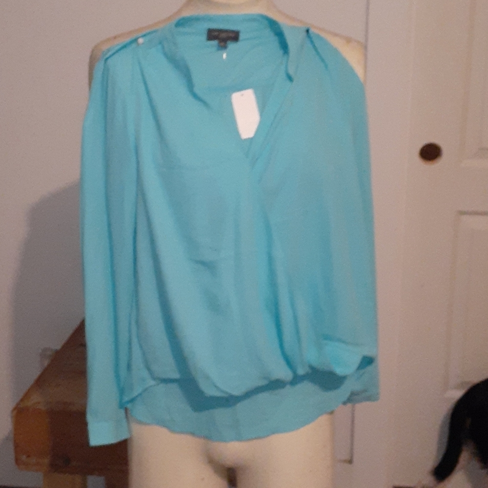 The Limited blouse